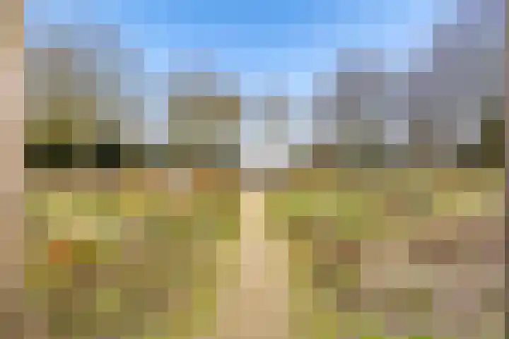 Sonate 12 Oss thumbnail 36