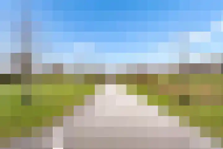Sonate 12 Oss thumbnail 37
