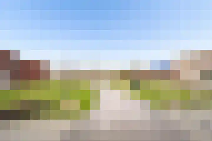 Sonate 12 Oss thumbnail 38