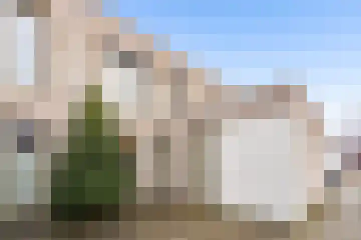 Sonate 12 Oss thumbnail 4