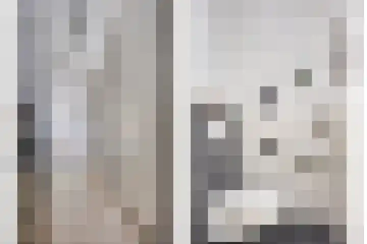 Sonate 34 Oss thumbnail 10