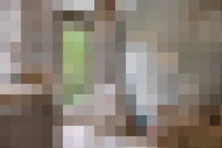 Sonate 34 Oss thumbnail 14