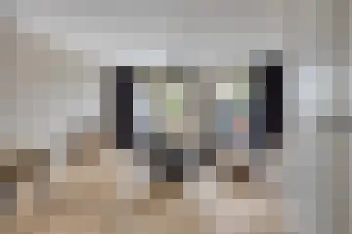 Sonate 34 Oss foto 2