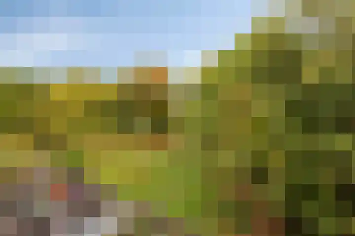 Sonate 34 Oss thumbnail 21