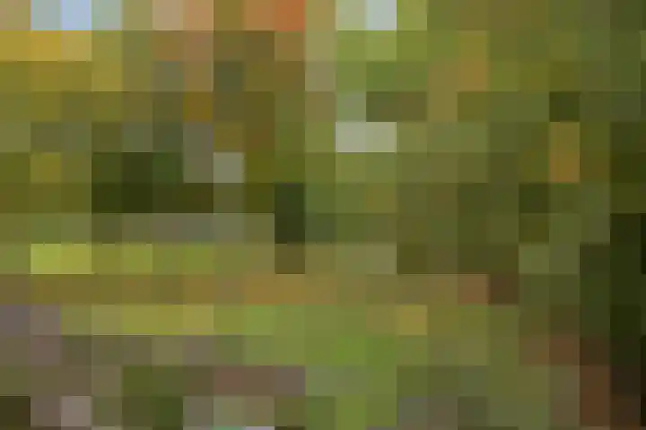 Sonate 34 Oss thumbnail 22