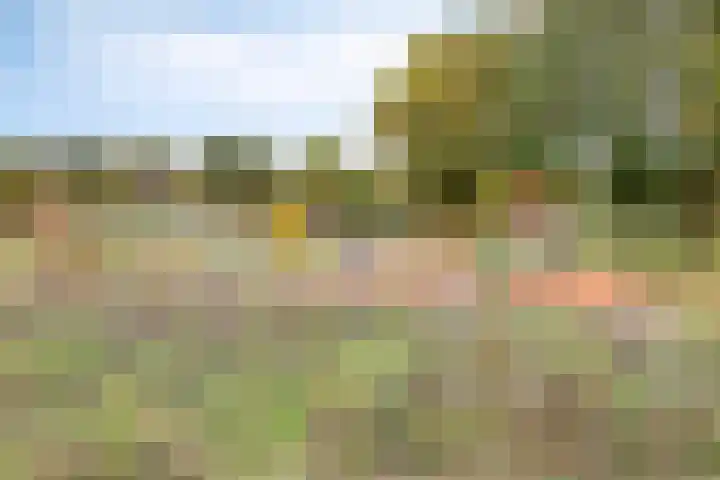 Sonate 34 Oss thumbnail 27