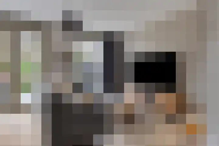 Sonate 34 Oss foto 3