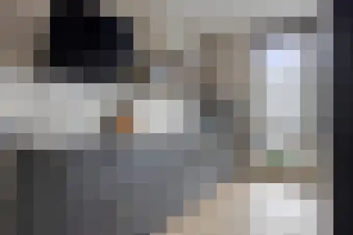 Sonate 34 Oss thumbnail 7