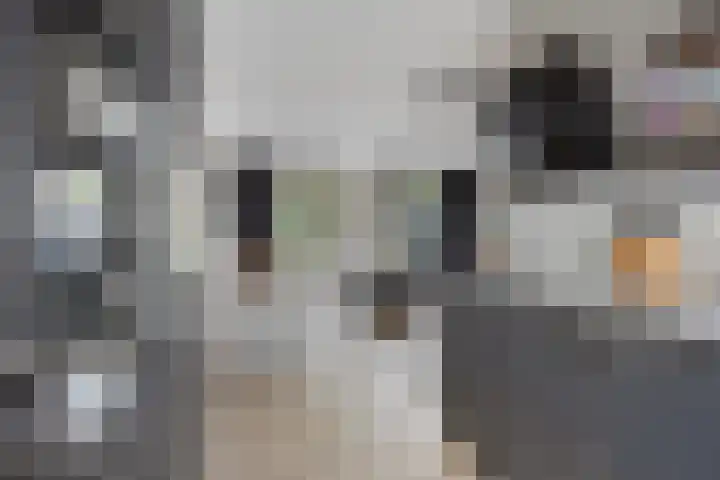 Sonate 34 Oss thumbnail 8