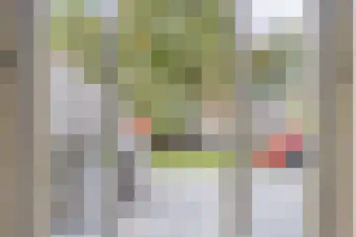 Sonate 34 Oss thumbnail 9