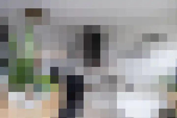 Sonate 93 Sliedrecht thumbnail 12