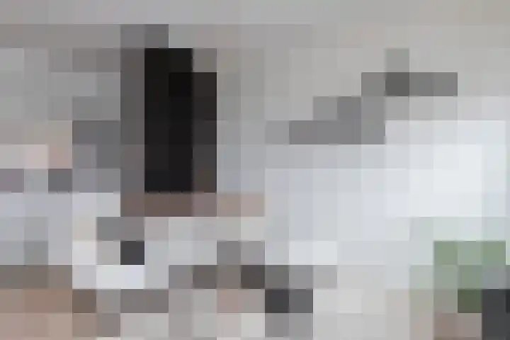 Sonate 93 Sliedrecht thumbnail 13