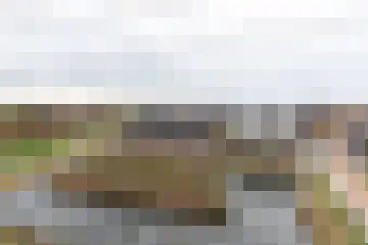 Sonate 93 Sliedrecht thumbnail 22