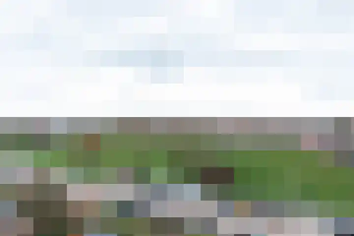 Sonate 93 Sliedrecht thumbnail 24