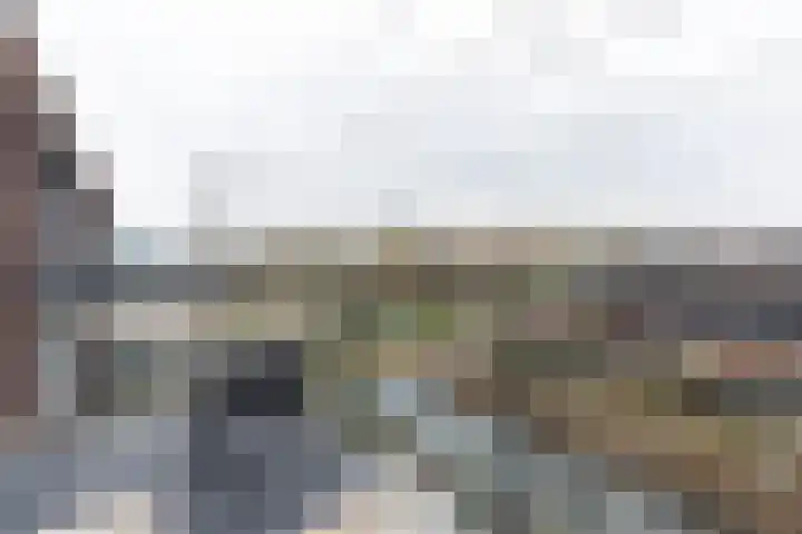Sonate 93 Sliedrecht thumbnail 4