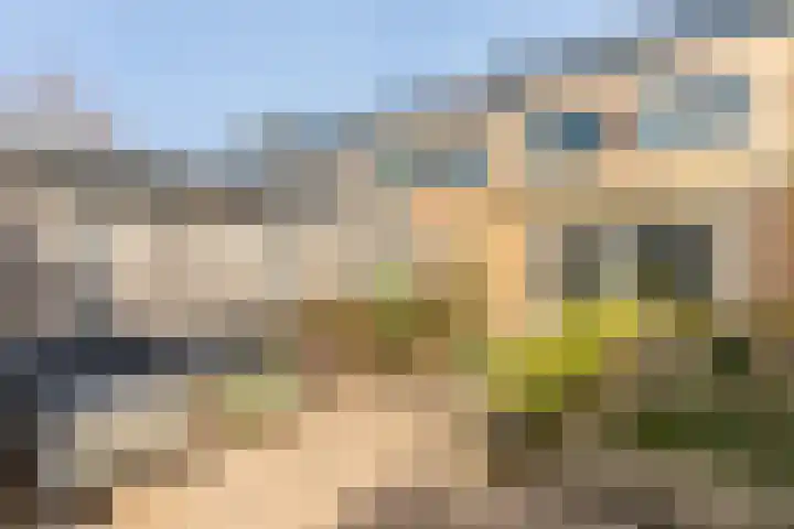 Sonatelaan 54 Barendrecht thumbnail 33