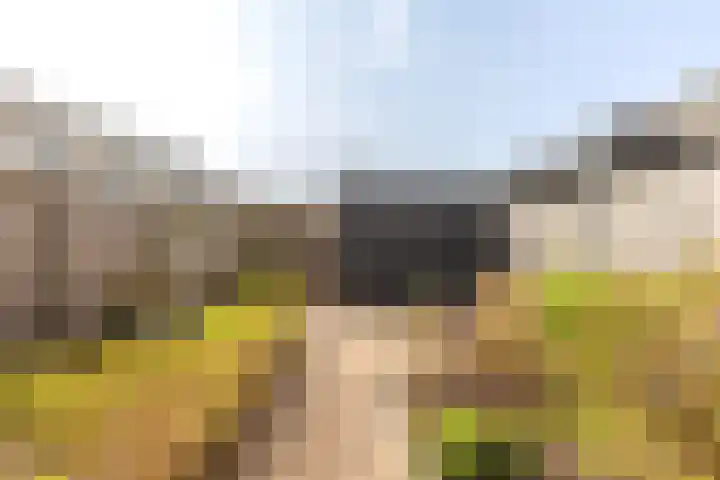 Sonatelaan 54 Barendrecht thumbnail 38