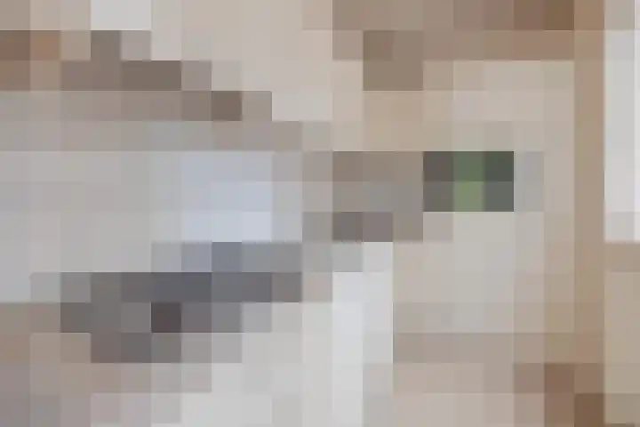 Sondertsepad 6 Sevenum thumbnail 13