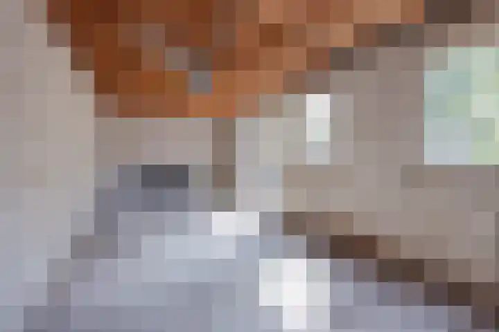 Sondertsepad 6 Sevenum thumbnail 31