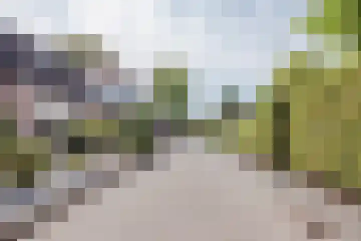 Sondertsepad 6 Sevenum thumbnail 32