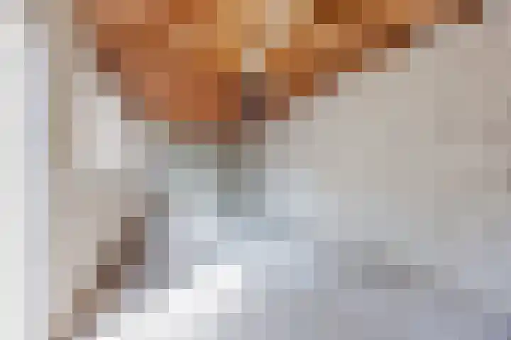 Sondertsepad 6 Sevenum thumbnail 6