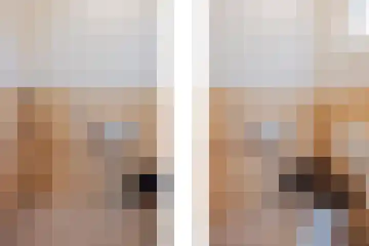 Sondertsepad 6 Sevenum thumbnail 9