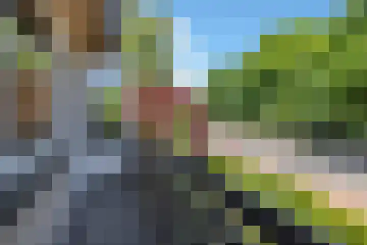 Sondervick 95 A Veldhoven thumbnail 32