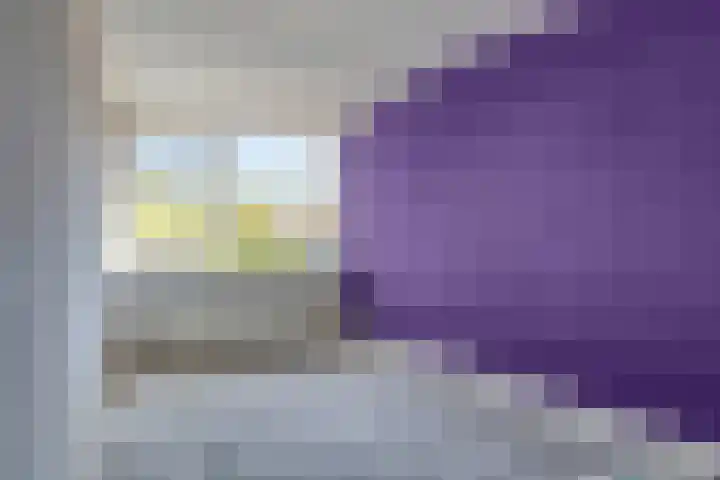 Sonnenburg 14 Alkmaar thumbnail 13