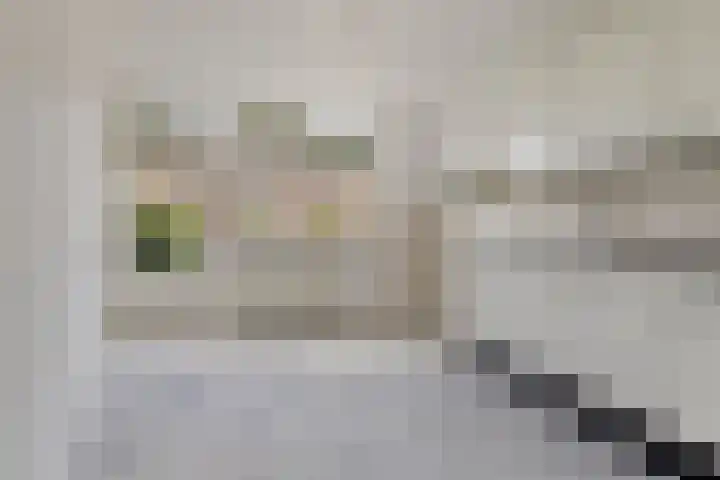 Sonnenburg 6 Alkmaar thumbnail 10