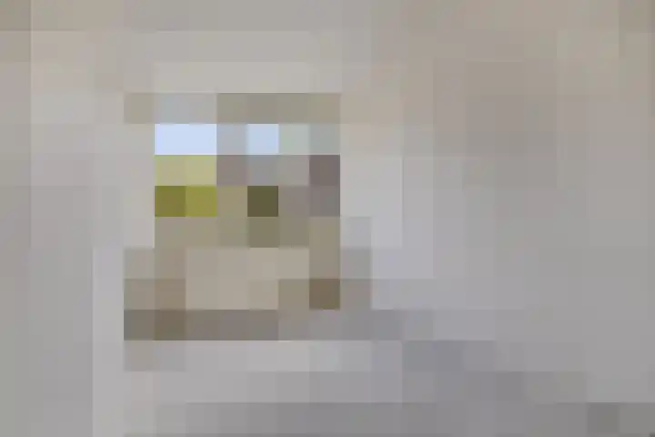 Sonnenburg 6 Alkmaar thumbnail 14