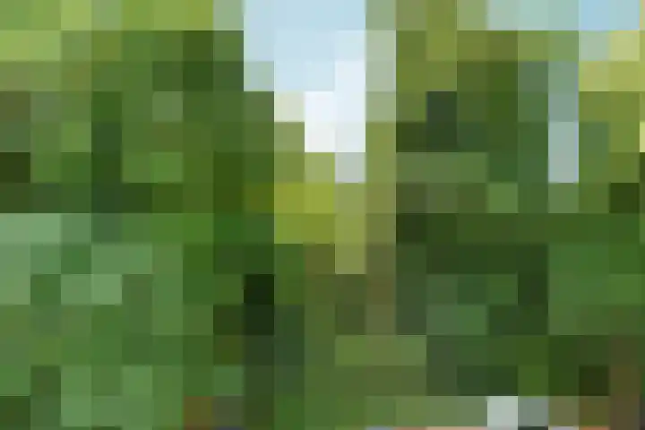 Sonsbeeksingel 25 7 Arnhem thumbnail 24
