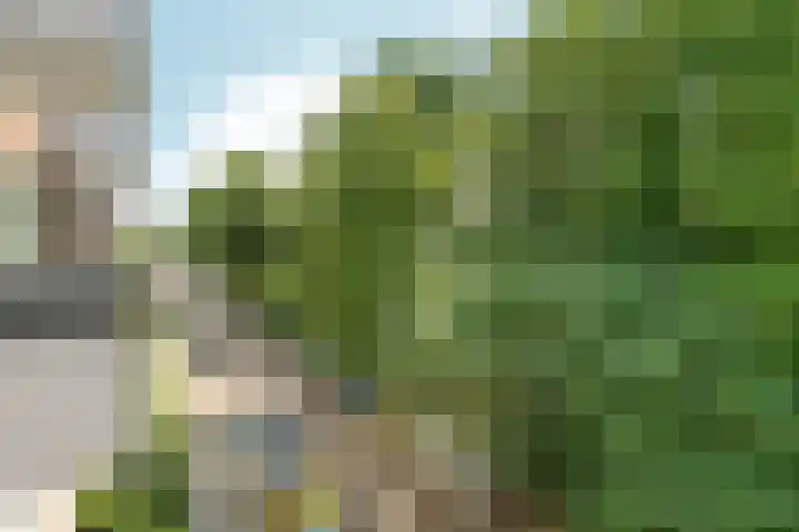 Sonsbeeksingel 25 7 Arnhem thumbnail 4