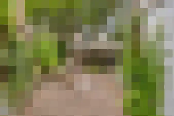 Sonsbeeksingel 68 Arnhem thumbnail 23