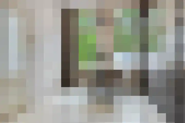Sonsbeeksingel 68 Arnhem thumbnail 7