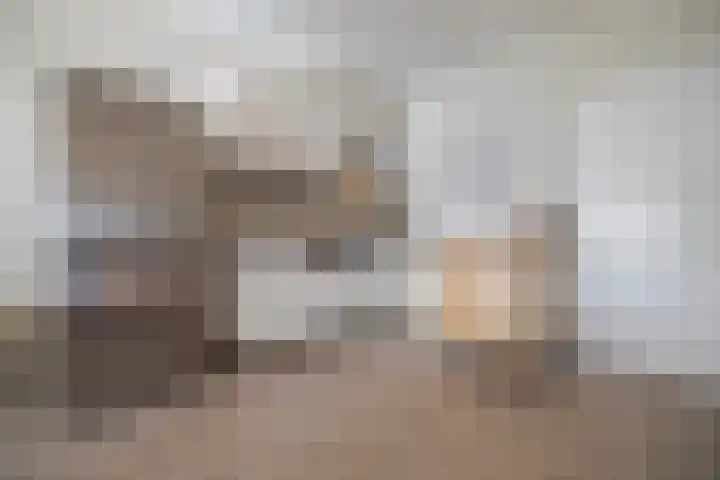Sonsbeeksingel 81 Arnhem thumbnail 16