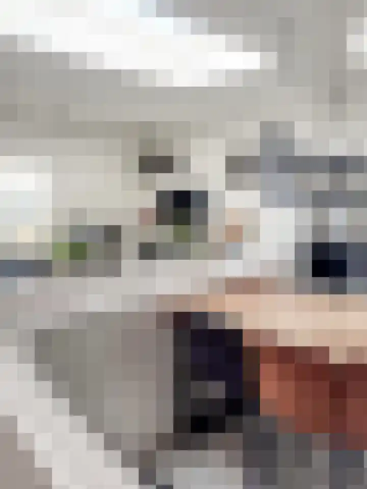 Sonsbeeksingel 97 3 Arnhem thumbnail 31