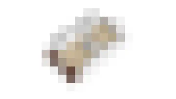 Sonsbeeksingel 97 3 Arnhem thumbnail 45