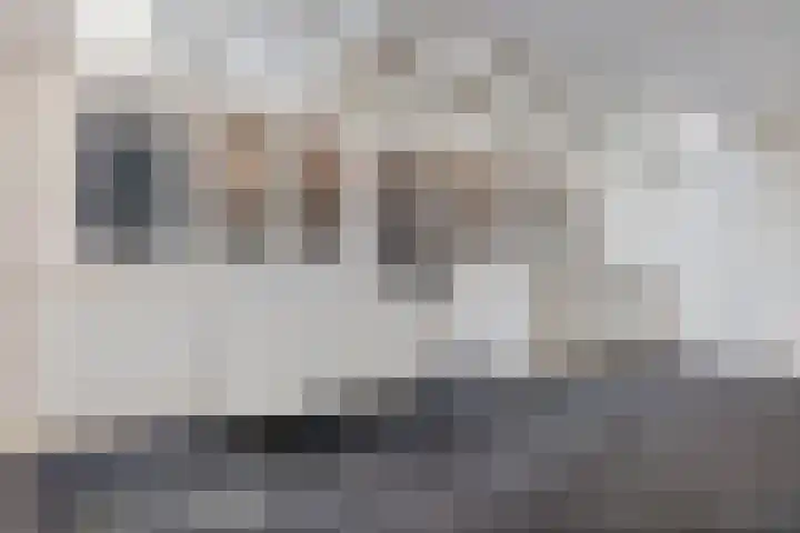 Sonsbeekweg 1 Arnhem thumbnail 8