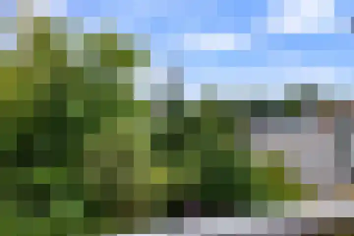Sonsbeekweg 36 2 Arnhem thumbnail 23