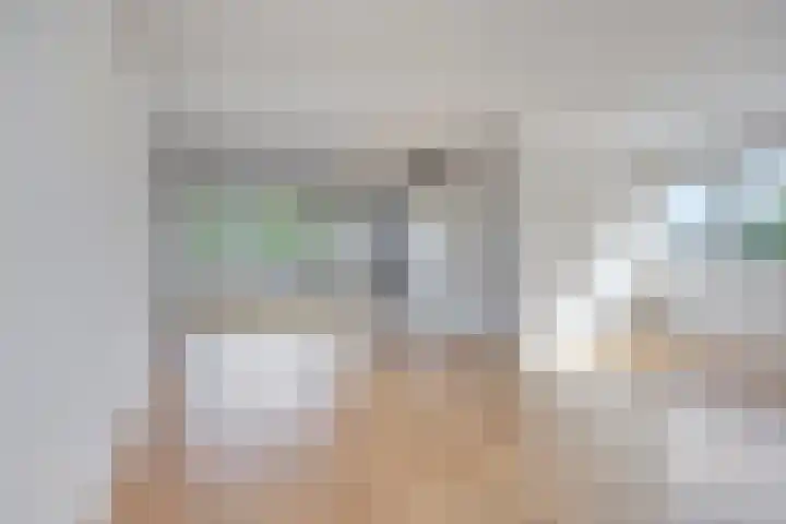 Sont 28 Lelystad thumbnail 10