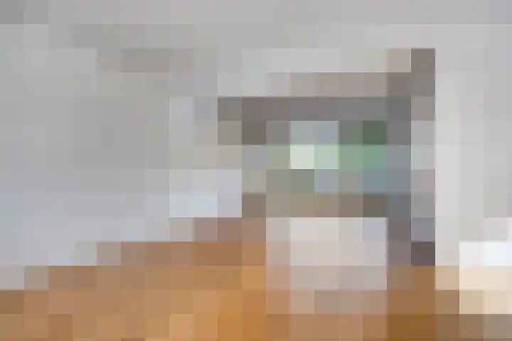 Sont 28 Lelystad thumbnail 11
