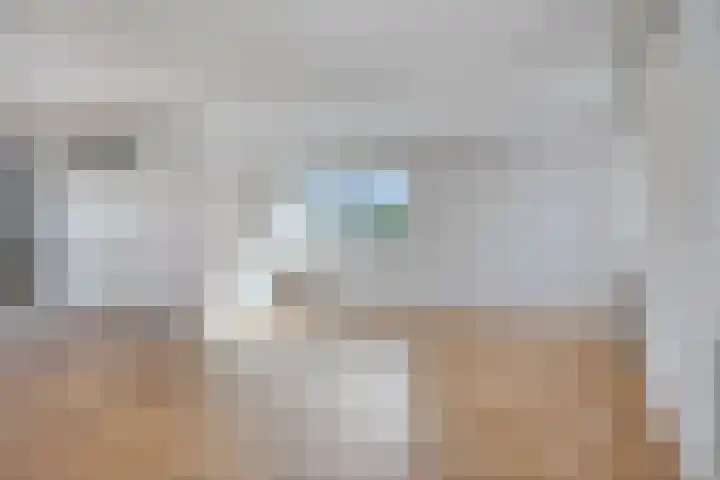 Sont 28 Lelystad thumbnail 12