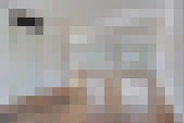 Sont 28 Lelystad thumbnail 13