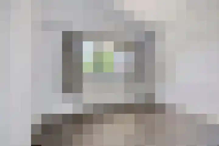 Sont 28 Lelystad thumbnail 20