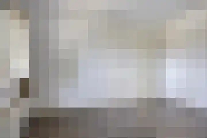 Sont 28 Lelystad thumbnail 21