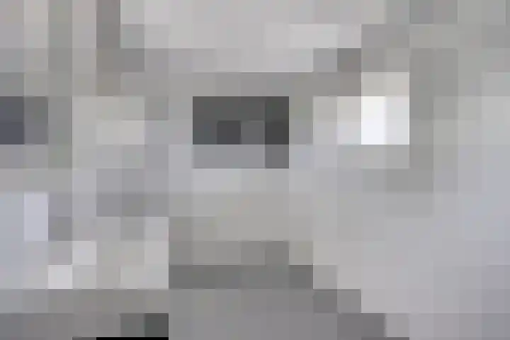 Sont 28 Lelystad thumbnail 22