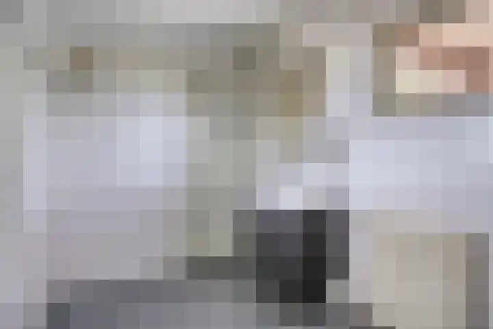 Sont 28 Lelystad thumbnail 23