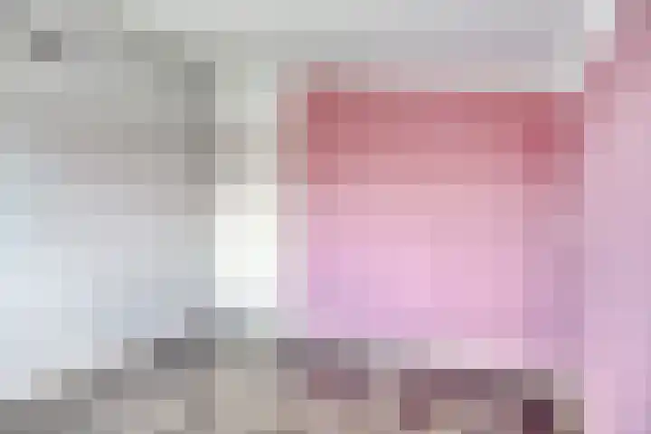 Sont 28 Lelystad thumbnail 25