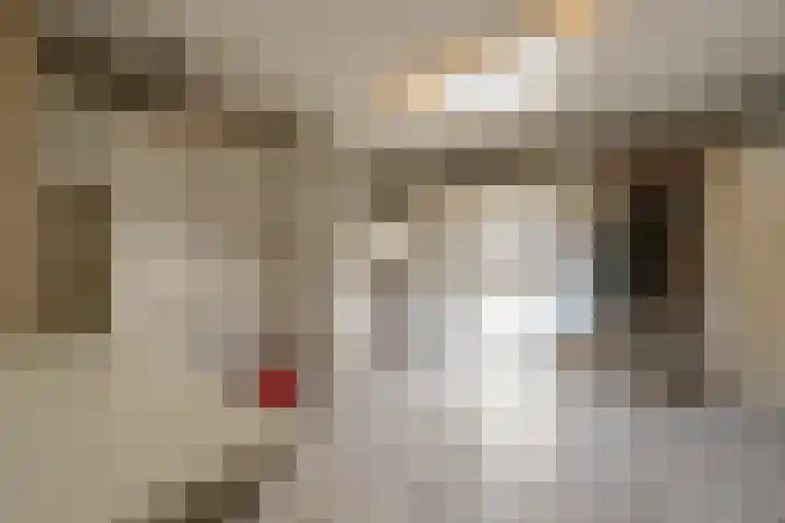 Sont 28 Lelystad thumbnail 8