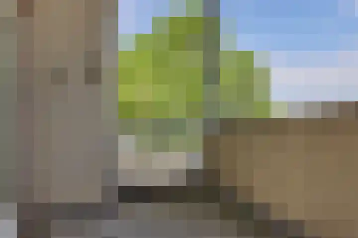 Sont 28 Lelystad thumbnail 8